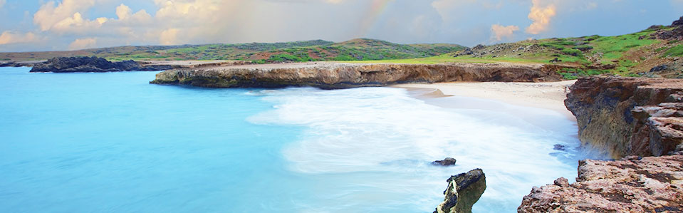 Marriott Vacation Club Caribbean Beach Vacations