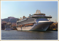 Cruise