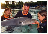 Discovery Cove Package