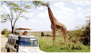 Unforgettable Experiences from beaches to theme parks.